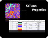Column Properties 